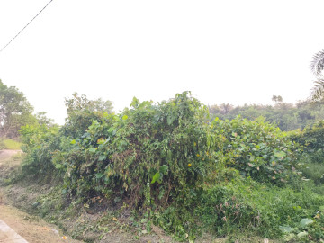 Dijual Tanah Kaplingan ukuran 30 X 75 M2 Jl Umban Sari- Rumbai