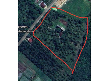 Di Jual Tanah 2Hektar Di Jl.Seroja Kulim
