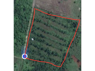 Di Jual Tanah 2Hektar Di Jl.Garuda Sakti KM10,6