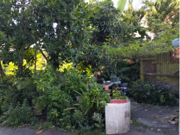 Di Jual Tanah DI Jalan Tanjung Datuk