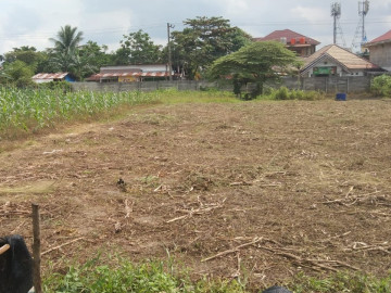 Dijual Tanah Keras 2,45 Haktare Jl Karya 1- Bukit Raya