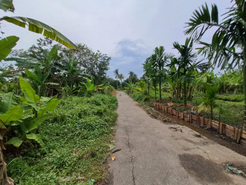 DIJUAL/DISEWAKAN SEBIDANG TANAH LUAS LOKASI TEPI JALAN SOEKARNO HATTA-PEKANBARU