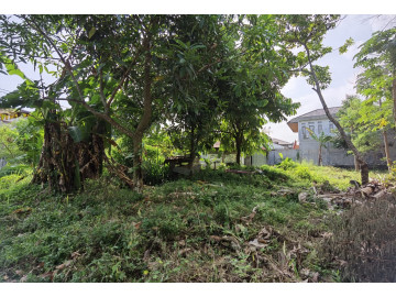 Dijual Tanah Keras Tepi Jalan Satria