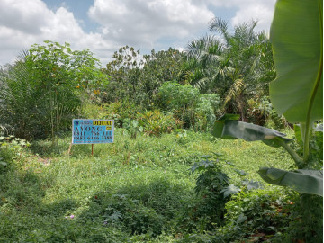 DIJUAL SEBIDANG TANAH LOKASI TEPI JALAN BESAR JALAN SM. AMIN - PEKANBARU