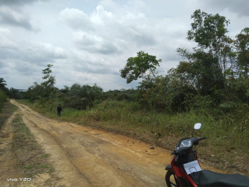 DIJUAL TANAH PERKEBUNAN DI JALAN SEROJA TENAYAN RAYA-PEKANBARU