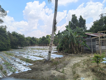 Di Jual Tanah Luas 29,800 M2 Di JL Naga Sakti