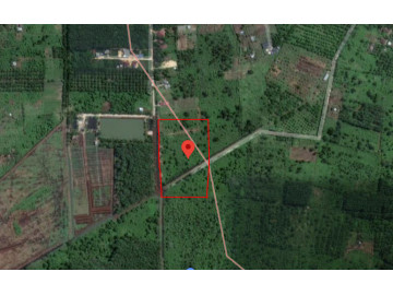 Dijual Tanah Daerah Pandau Jaya, Kampar
