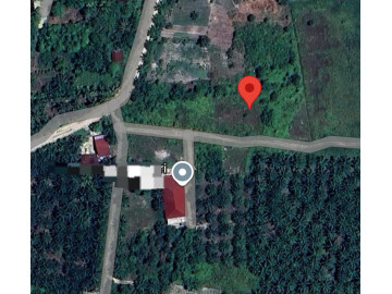 Dijual Tanah Luas 1029m2 di Jl. Damai - Palas