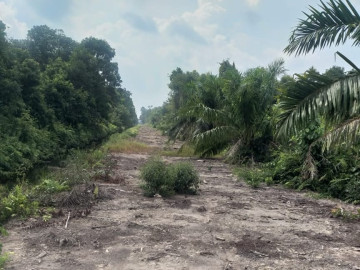 Di jual tanah untuk lahan sawit Siak kecik kec Bunga Raya temusai siak kab Bengkalis