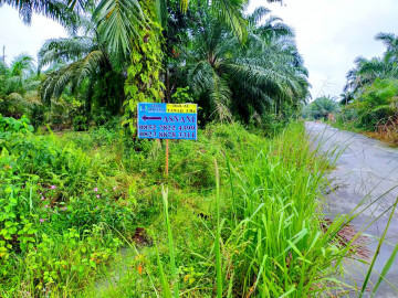 Dijual sebidang tanah 3 ha di Palas, Pekanbaru.