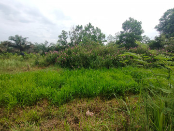 Dijual Tanah lokasi Jl. Paus / Rumbai - Pekanbaru
