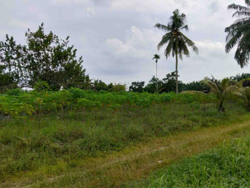 DI JUAL TANAH DAERAH HANGTUAH