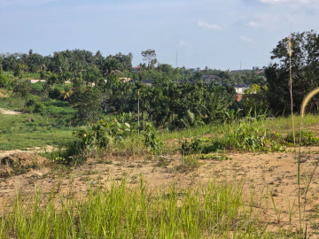 Dijual Tanah 2.5 Ha di Jl. Kelapa - Hangtuah