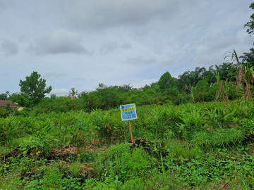 DIJUAL SEBIDANG TANAH COCOK BANGUN PERUMAHAN DI JL.DHARMA BAKTI UJUNG-PEKANBARU