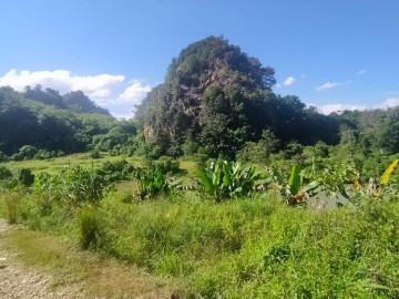 DIJUAL TANAH DI PAYAKUMBUH SUMATERA BARAT