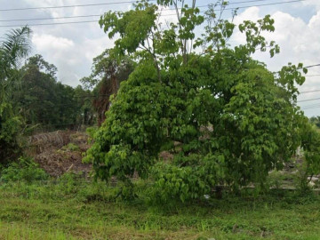 DIJUAL SEBIDANG TANAH LOKASI TEPI JALAN SOEKARNO HATTA - PEKANBARU