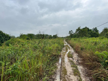 DIJUAL TANAH LUAS DAERAH BANGKINANG