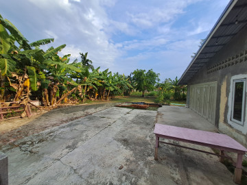 DIJUAL/ DISEWAKAN SEBIDANG TANAH KERAS LOKASI BAGUS DI JL.PEMUDA-PEKANBARU