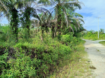 DIJUAL TANAH  DI TEBING TINGGI OKURA - RUMBAI TIMUR