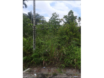 DIJUAL SEBIDANG TANAH LOKASI JALAN DARU DARU TENAYAN RAYA