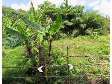 DI JUAL TANAH JL UMBAN SARI
