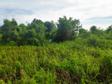 Dijual Sebidang tanah dekat kampus UIR Jl. Taman Karya, Panam, Pekanbaru