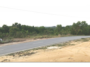 Dijual sebidang tanah ditepi jalan aspal Jl. Raja Panjang - Rumbai / Pekanbaru