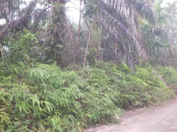 Dijual Tanah Pemakaman