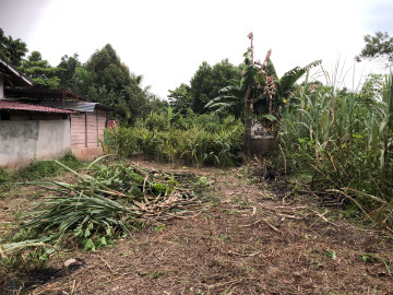 DIJUAL TANAH BESERTA RUMAH WALET DI TENGAH KOTA DI SIGUNGGUNG