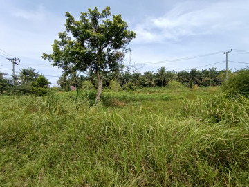 DI JUAL TANAH JL SEROJA / KULIM