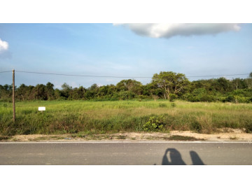 Dijual Tanah murah di Rumbai