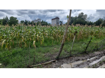 Dijual Tanah Murah  Di Jl. Teropong Pekanbaru