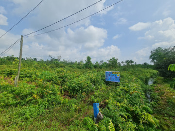Dijual sebidang tanah lokasi Rimbo Panjang tengah kota Pekanbaru