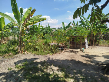 DIJUAL TANAH JL.AIR DINGIN