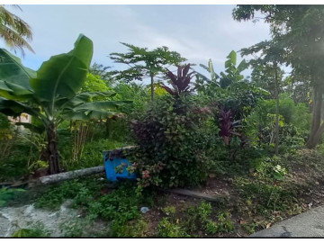 Dijual sebidang tanah di Jl. Kapau Sari Ujung - Pekanbaru