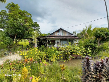 DIJUAL TANAH JL DAMAI PEKANBARU