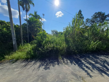 DIJUAL SEBIDANG TANAH DI JL.DAMAI PALAS-PEKANBARU