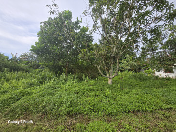 DIJUAL SEBIDANG TANAH LOKASI DEKAT JL. BUKIT BARISAN