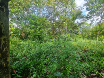 Di jual sebidang tanah lokasi garuda sakti