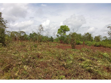 DI JUAL TANAH DI RIAU BARU