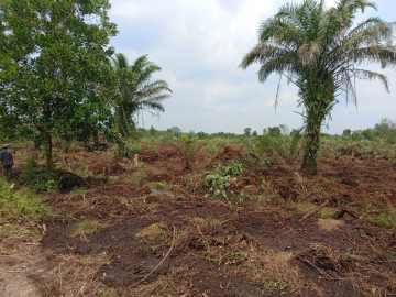 Dijual Tanah di Riau Baru / Tapung - Pekanbaru