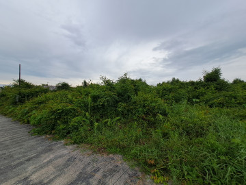 DIJUAL SEBIDANG TANAH DI RIAU UJUNG JL.KARYA INDAH-PEKANBARU