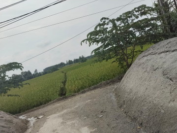 DIJUAL TANAH LOKASI SERANG CIKANDE