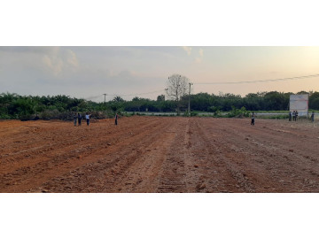 DIJUAL TANAH SIAP BANGUN LOKASi DAYUN SIAK