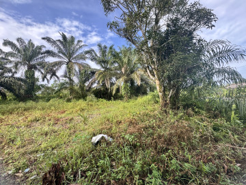 DIJUAL TANAH DITEPI JL .SEROJA HARAPAN RAYA