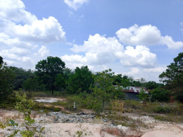 DIJUAL CEPAT TANAH DEKAT JL.BERINGIN