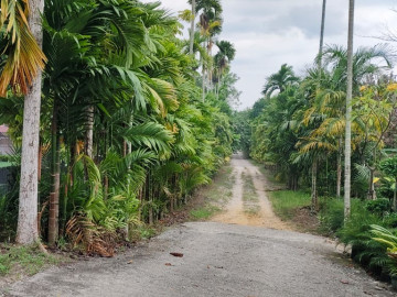 Dijual Tanah di Jl. KH Nasution