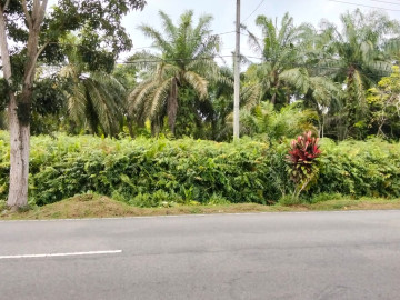 Dijual Tanah Keras di Kota Bengkalis