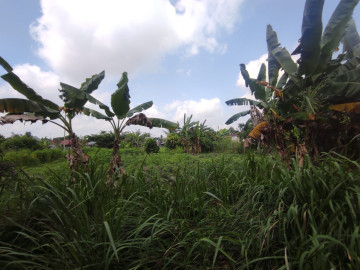 DI JUAL TANAH SIAP BANGUN DI JL. SWAKARYA-PANAM-PEKAN  BARU
