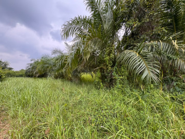 DIJUAL TANAH KERAS LOKASI JALAN SUDIRMAN TENGAH KOTA PEKANBARU